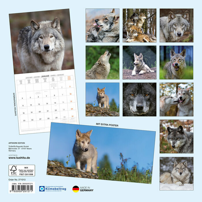Calendrier Mural Loups Sauvage 2027