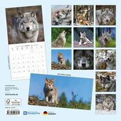Calendrier Mural Loups Sauvage 2027