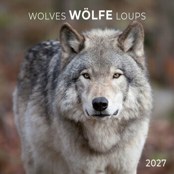 Calendrier 2027 Loups avec Poster Offert