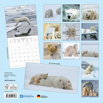 Calendrier 2027 Ours Polaire avec Poster Offert