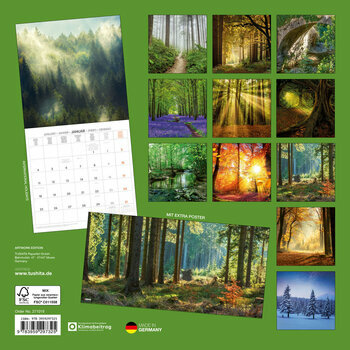 Calendrier 2027 For&ecirc;t avec Poster Offert