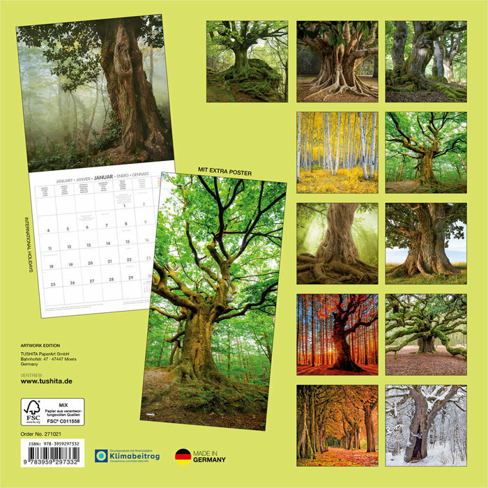 Calendrier Mural Arbre For�t 2027 