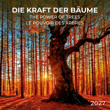 Calendrier 2027 Le Pouvoir des Arbres avec Poster Offert