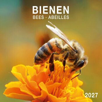 Calendrier 2027 Abeilles avec Poster Offert