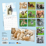 Calendrier 2027 B�b�s Animaux elephant