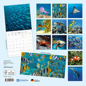 Calendrier 2027 Créatures Animaux sous Marins avec Poster Offert Calendrier 2027 Mural Créatures Animaux sous Marins avec Poster Offert
