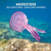 Calendrier 2027 Créatures Animaux sous Marins avec Poster Offert CalendrieR Papier 2027 Créatures Animaux sous Marins avec Poster Offert
