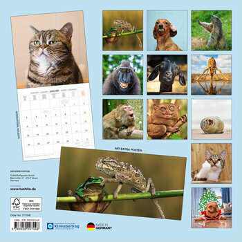 Calendrier 2027 Animaux Funny Dr&ocirc;les avec Poster Offert