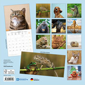 Calendrier Papier 2027 Animaux Funny Dr�les avec Poster Offert