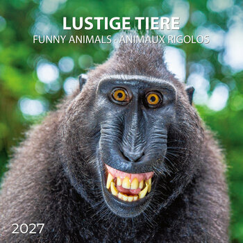 Calendrier 2027 Animaux Funny Dr&ocirc;les avec Poster Offert