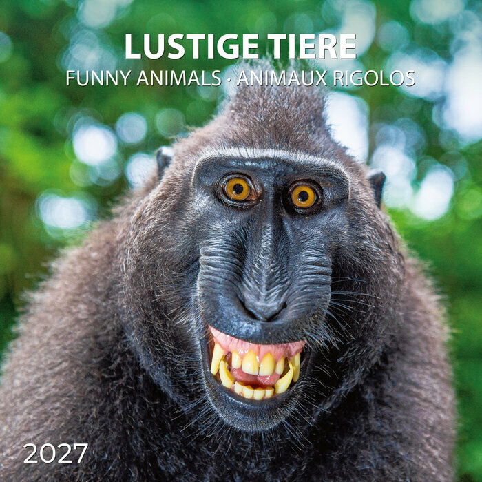 Calendrier Mural 2027 Animaux Funny Dr�les avec Poster Offert