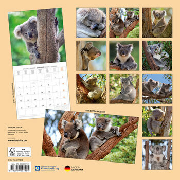 Calendrier 2027 Koalas Marsupial Australie avec Poster Offert