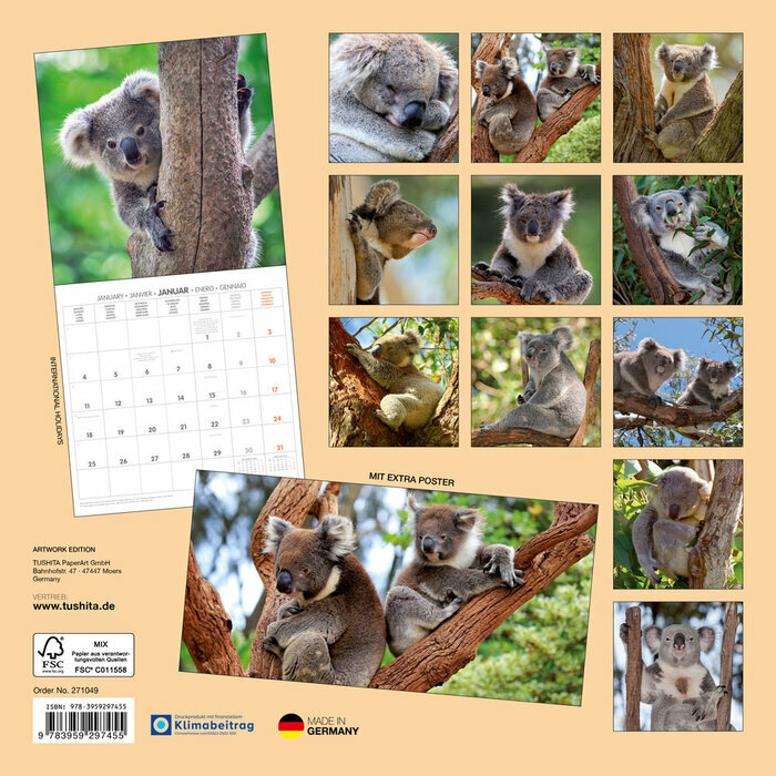Calendrier Papier 2027 Koalas Marsupial Australie 