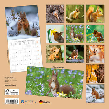Calendrier 2027 Ecureuil avec Poster Offert