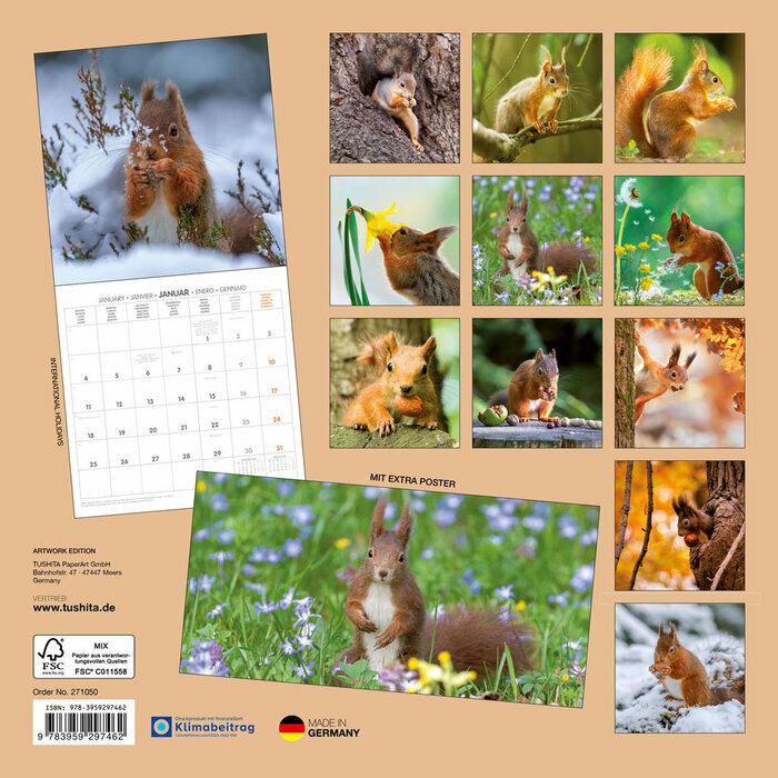 Calendrier 2027 Ecureuil avec Poster Offert Calendrier Papier 2027 Ecureuil avec Poster Offert