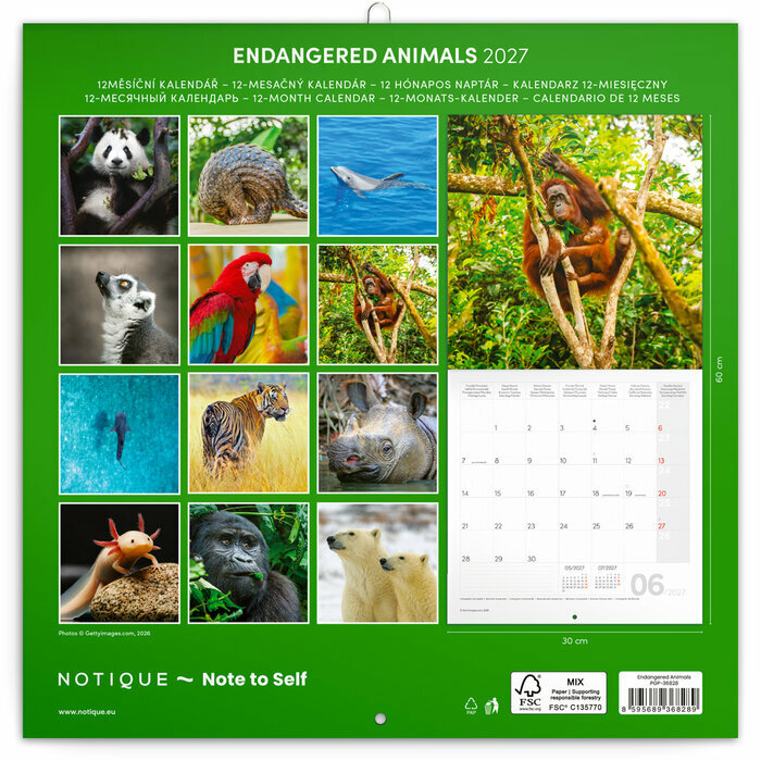 Calendrier papier 2027 Animaux Sauvage en Danger  