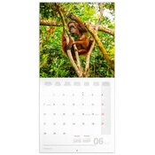 Calendrier papier 2027 Animaux Sauvage  