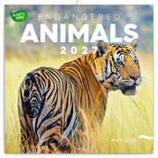 Calendrier mural 2027 Animaux Sauvage en Danger  
