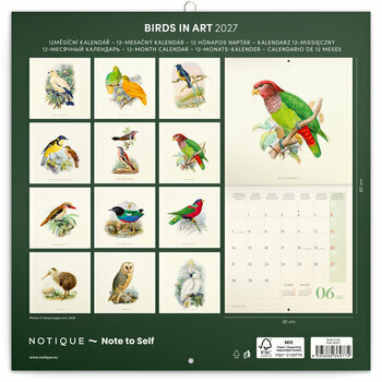 Calendrier 2027 Dessins Art Oiseaux  