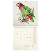Calendrier 2027 Dessins Art Oiseaux  