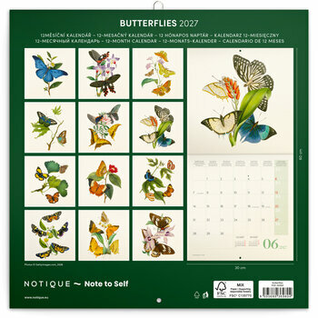 Calendrier 2027 Dessins Art Papillons Nature