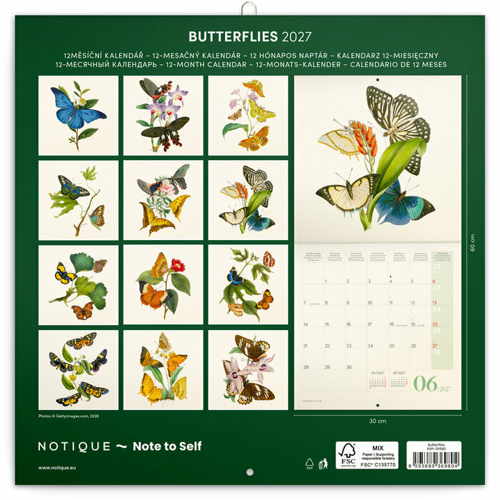 Calendrier 2027  Dessins Art Papillons Nature