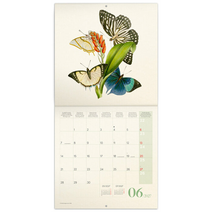 Calendrier 2027 papier Dessins Art Papillons 