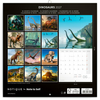 Calendrier 2027 Pr&eacute;histoire et Dinosaures