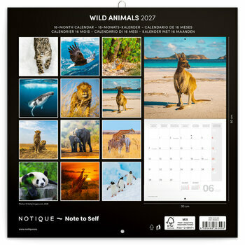 Calendrier 2027 Animaux Sauvages Savane