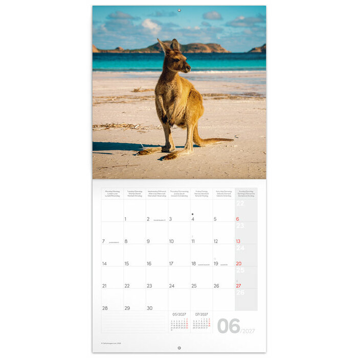 Calendrier 2027 Animaux Sauvages 