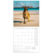 Calendrier 2027 Animaux Sauvages 