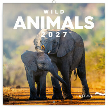 Calendrier 2027 Animaux Sauvages Savane