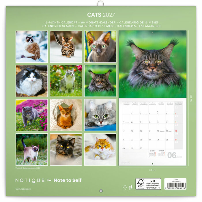 Calendrier Mural 2027 Chats Affectueux et Espi�gles