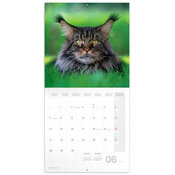 Calendrier Mural 2027 Chats Affectueux