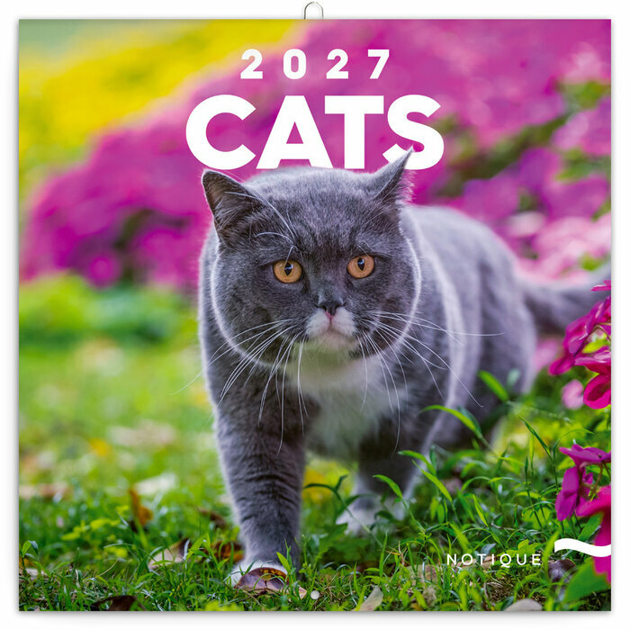 Calendrier Mural 2027 Chats Affectueux et Espi�gles