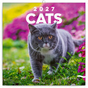 Calendrier Mural 2027 Chats Affectueux et Espi�gles