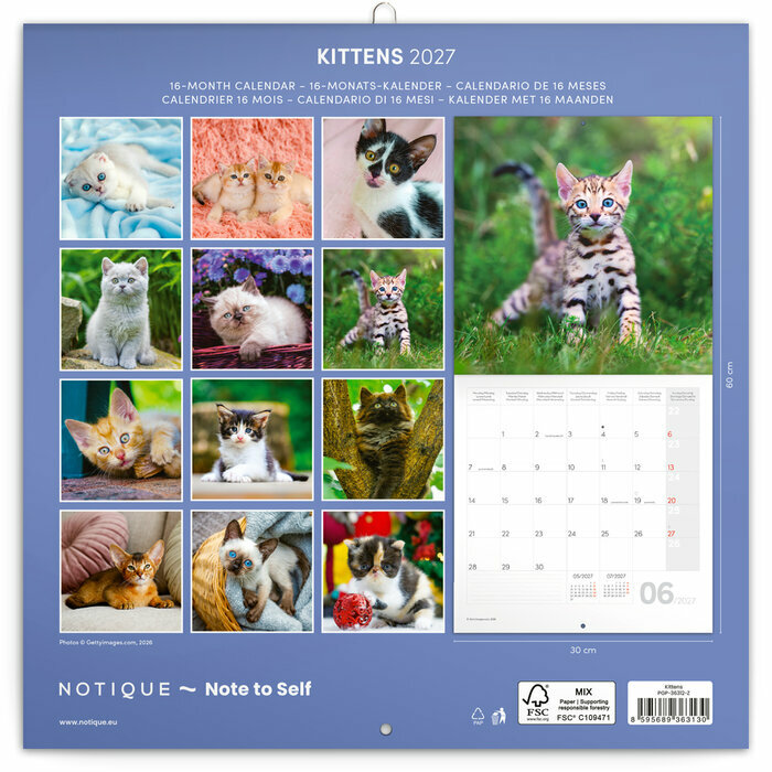 Calendrier 2027 Chatons Mignons et Espi�gles