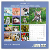Calendrier 2027 Chatons Mignons et Espi�gles