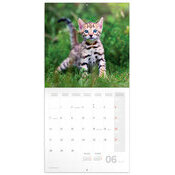 Calendrier 2027 Chatons Mignons 
