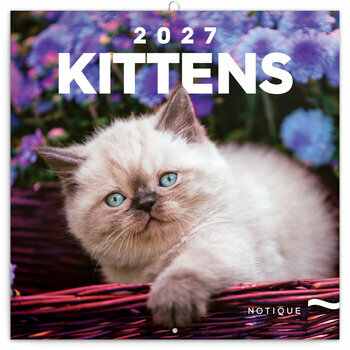 Calendrier 2027 Chatons Mignons et Espi&egrave;gles