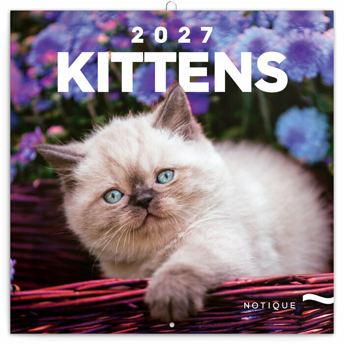 Calendrier Mural 2027 Chatons Mignons et Espi�gles