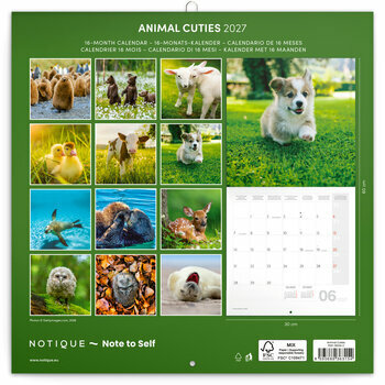 Calendrier 2027 Animaux Cutes