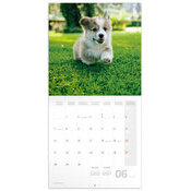 Calendrier 2027 Animaux