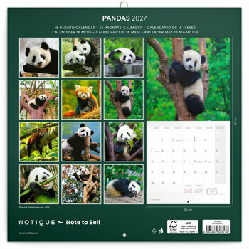 Calendrier 2027 Bambous et Pandas