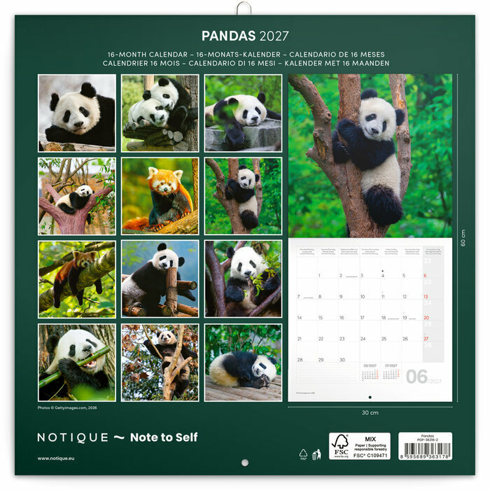 Calendrier Panda roux 2027 Bambous et Pandas