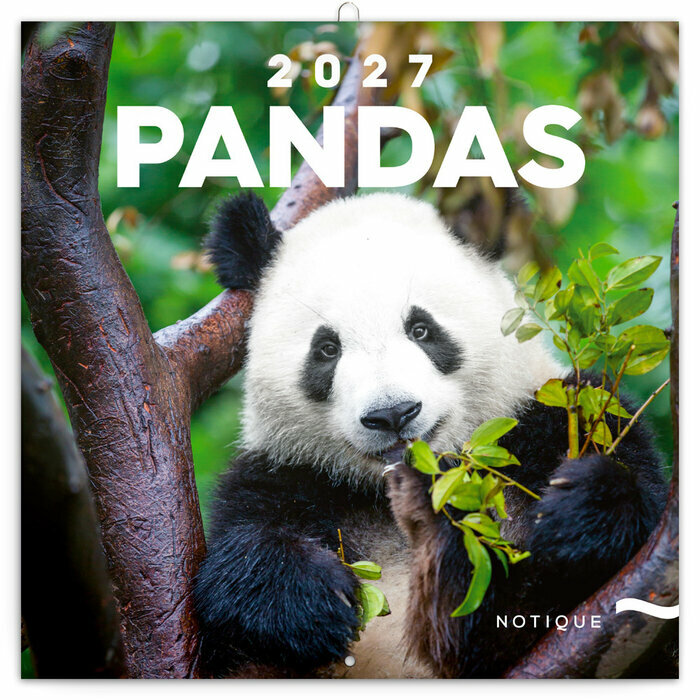 Calendrier Panda 2027 Bambous et Pandas