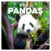 Calendrier Panda 2027 Bambous et Pandas