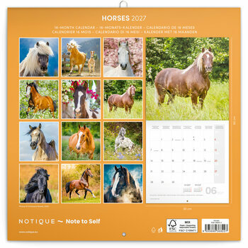 Calendrier 2027 Chevaux Majestueux