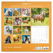 Calendrier 2027 Chevaux Majestueux