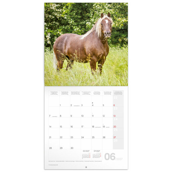 Calendrier 2027 Chevaux 